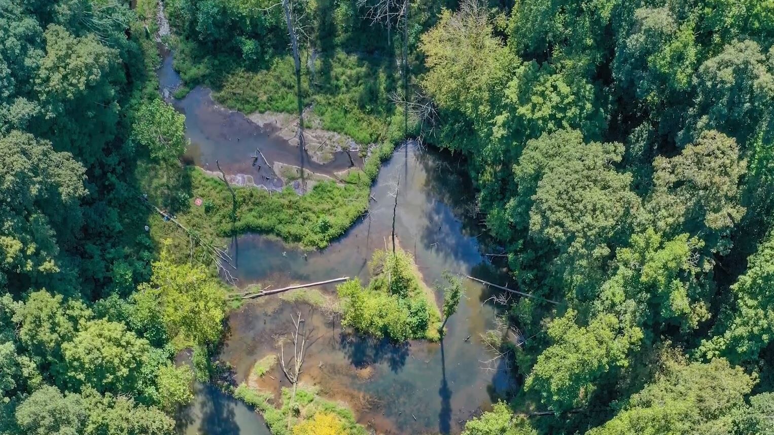 Daniel Boone National Forest in Kentucky waiving fees for free days this year
